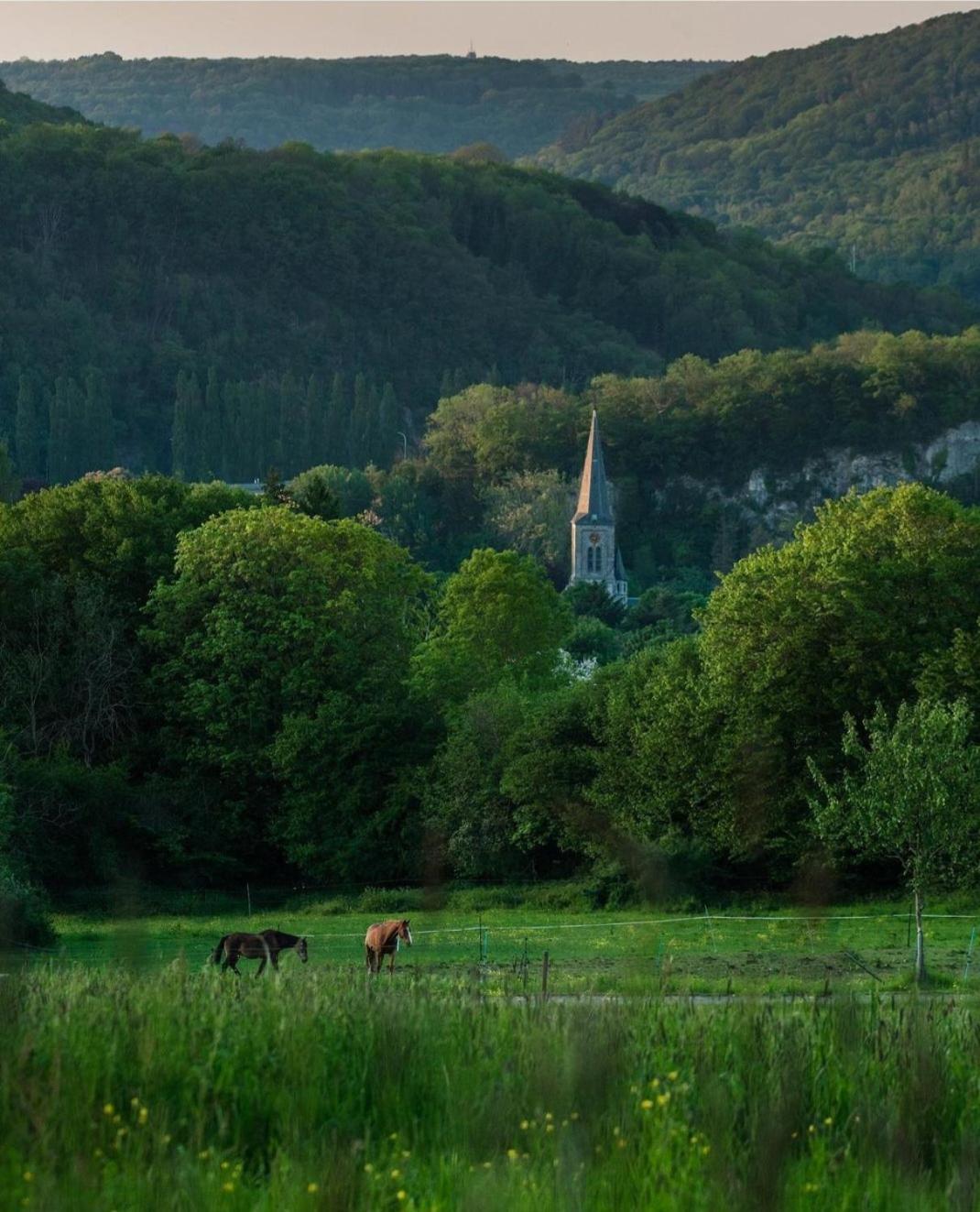 Escale Chambre D'Hotes Au Coeur Du Vieux Profondeville Entre Namur Et Dinant ภายนอก รูปภาพ